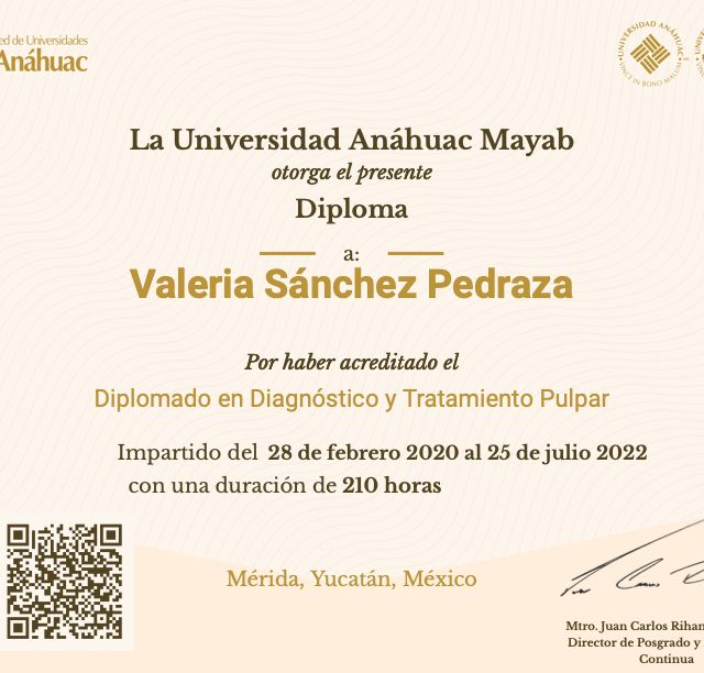 Ampliar imagen: certificate 3