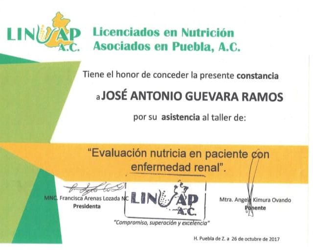 Ampliar imagen: certificate 1