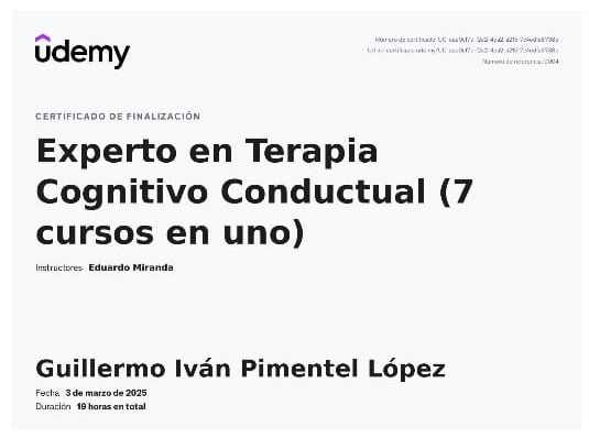 Ampliar imagen: certificate 5