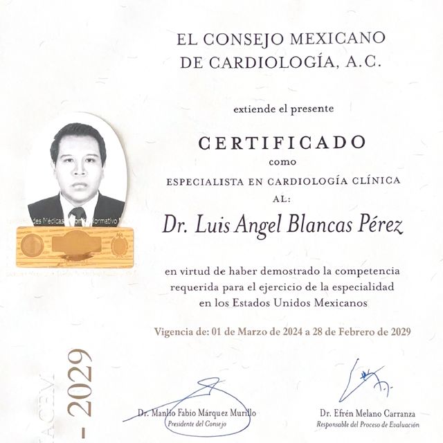 Ampliar imagen: certificate 1