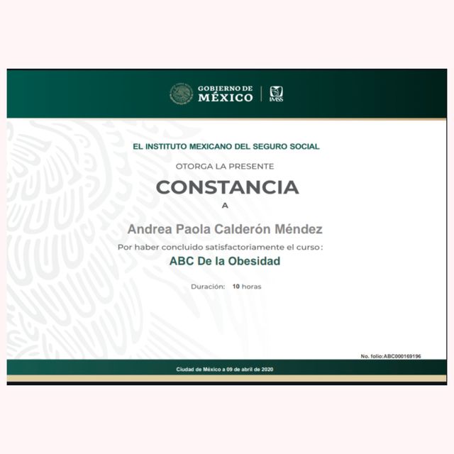 Ampliar imagen: certificate 4