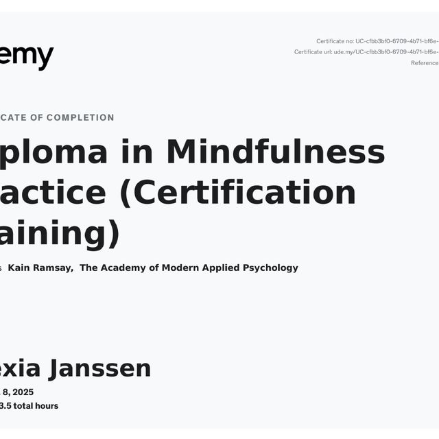 Ampliar imagen: certificate 3