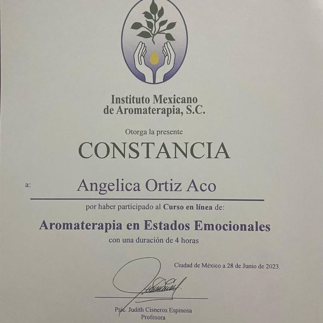 Ampliar imagen: certificate 14