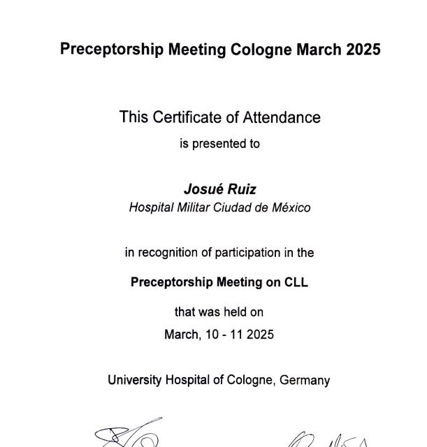 Ampliar imagen: certificate 2