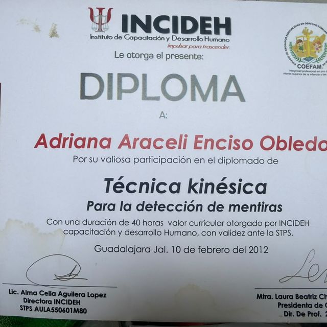 Ampliar imagen: certificate 3