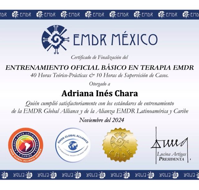 Ampliar imagen: certificate 7