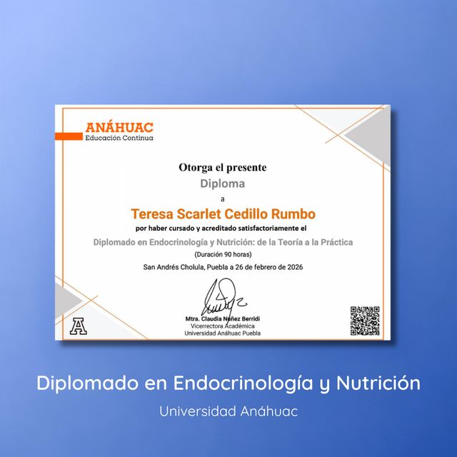 Ampliar imagen: certificate 3