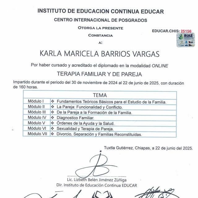 Ampliar imagen: certificate 4