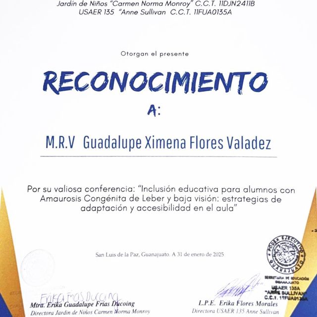 Ampliar imagen: certificate 5