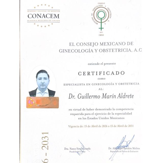 Ampliar imagen: certificate 10