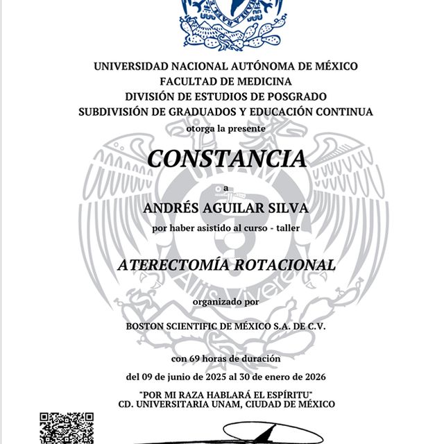 Ampliar imagen: certificate 8