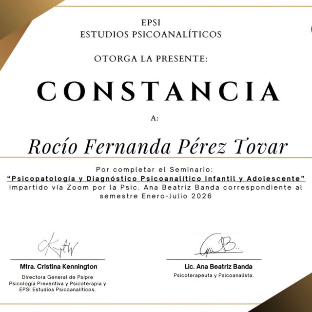 Ampliar imagen: certificate 3