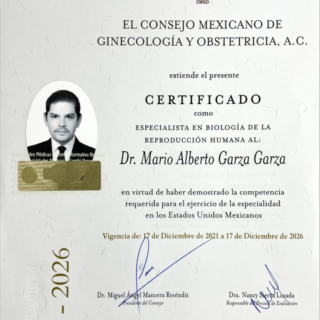 Ampliar imagen: certificate 1