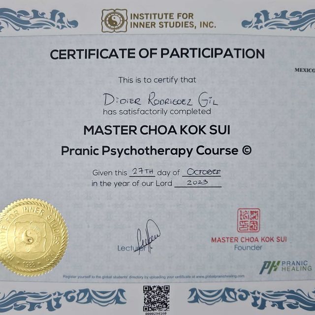 Ampliar imagen: certificate 8