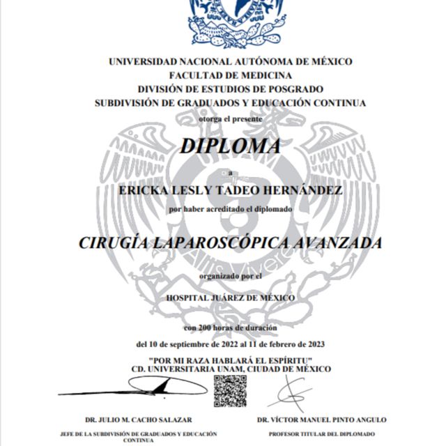 Ampliar imagen: certificate 4