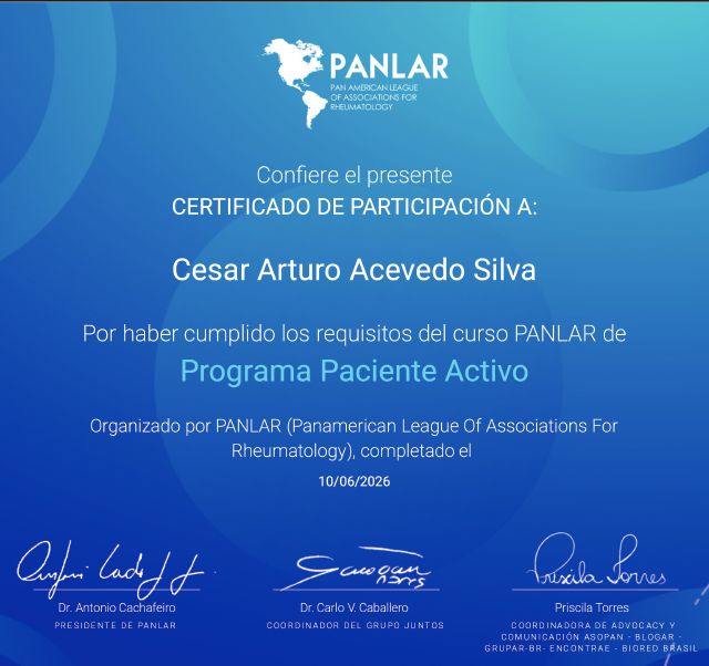 Ampliar imagen: certificate 5