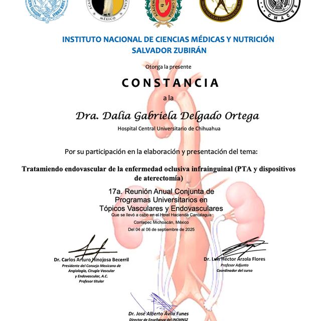 Ampliar imagen: certificate 10
