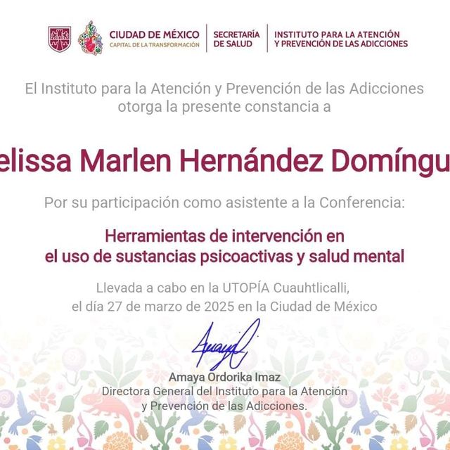 Ampliar imagen: certificate 3