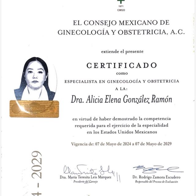 Ampliar imagen: certificate 1