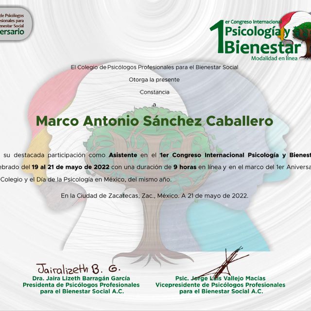 Ampliar imagen: certificate 7