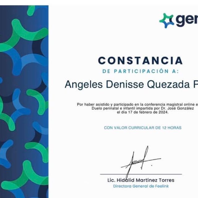 Ampliar imagen: certificate 15