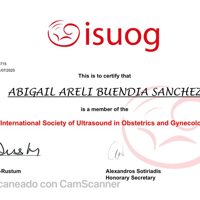 Ampliar imagen: certificate 4