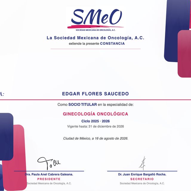 Ampliar imagen: certificate 9