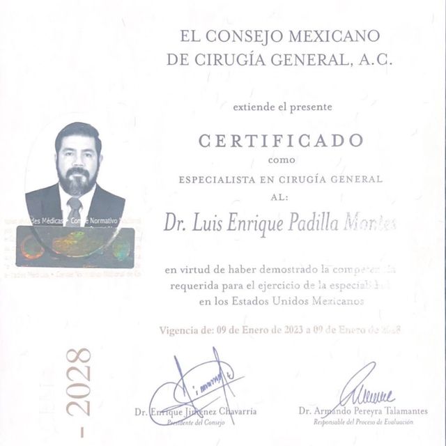 Ampliar imagen: certificate 2
