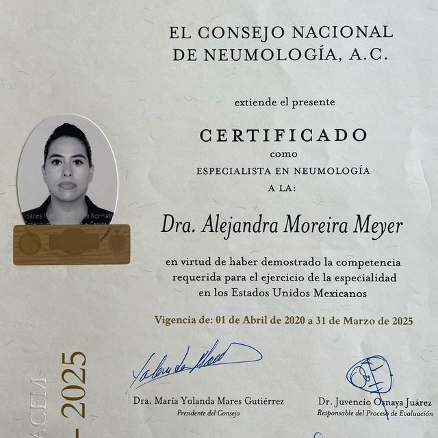 Ampliar imagen: certificate 2