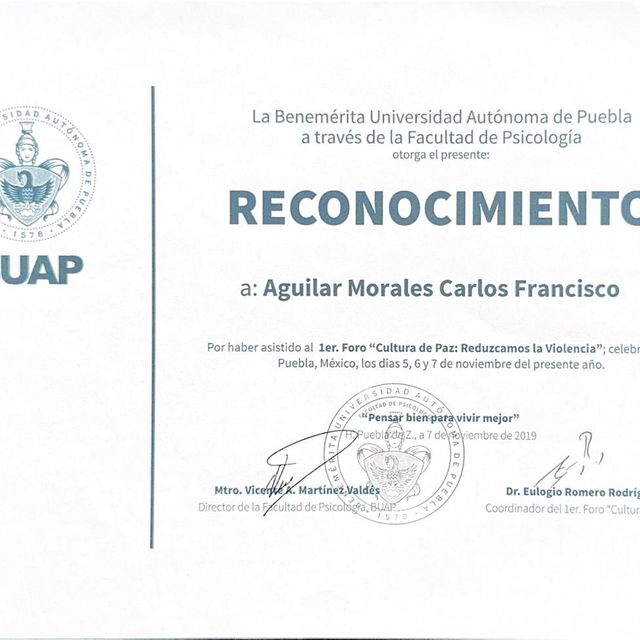 Ampliar imagen: certificate 4