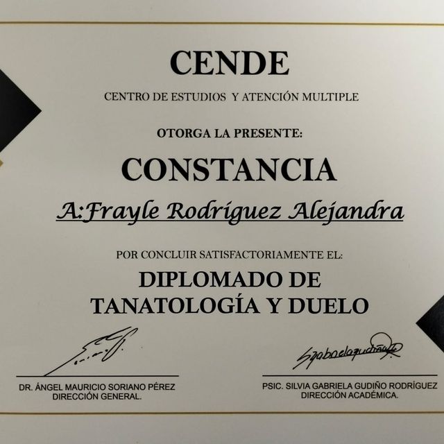 Ampliar imagen: certificate 4