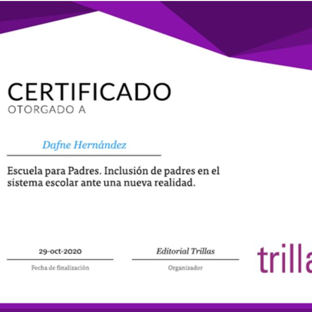Ampliar imagen: certificate 3