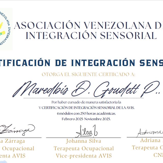Ampliar imagen: certificate 3