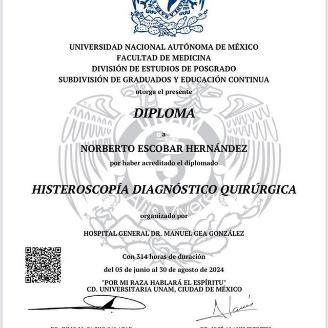 Ampliar imagen: certificate 5