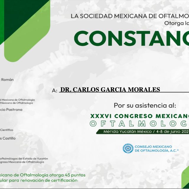 Ampliar imagen: certificate 5