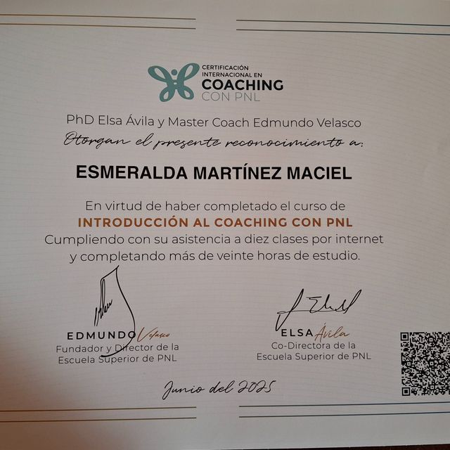 Ampliar imagen: certificate 9