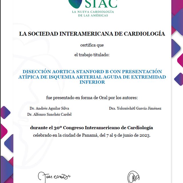 Ampliar imagen: certificate 13