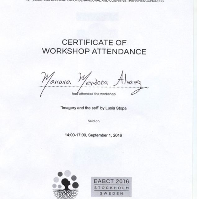 Ampliar imagen: certificate 7