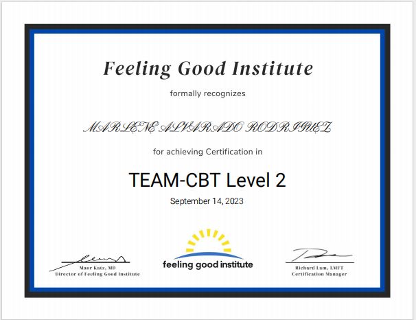 Ampliar imagen: certificate 3