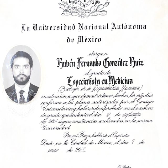Ampliar imagen: certificate 5
