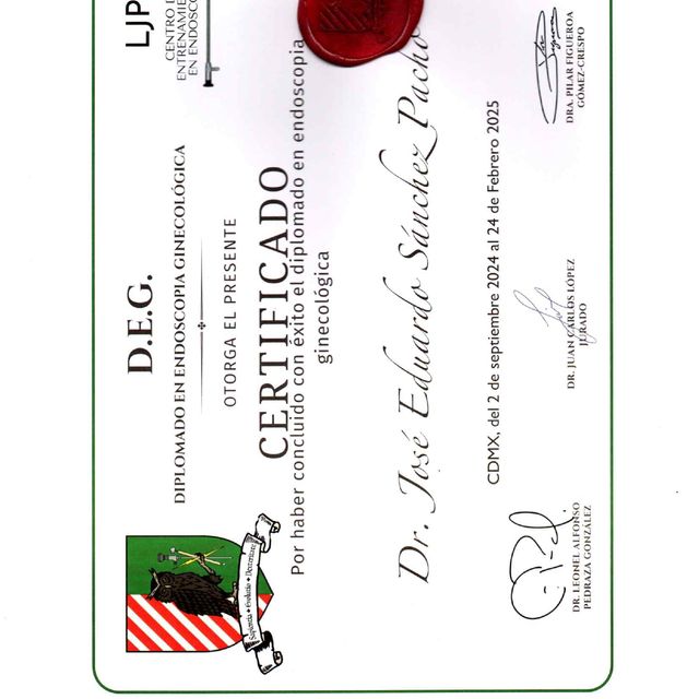 Ampliar imagen: certificate 5