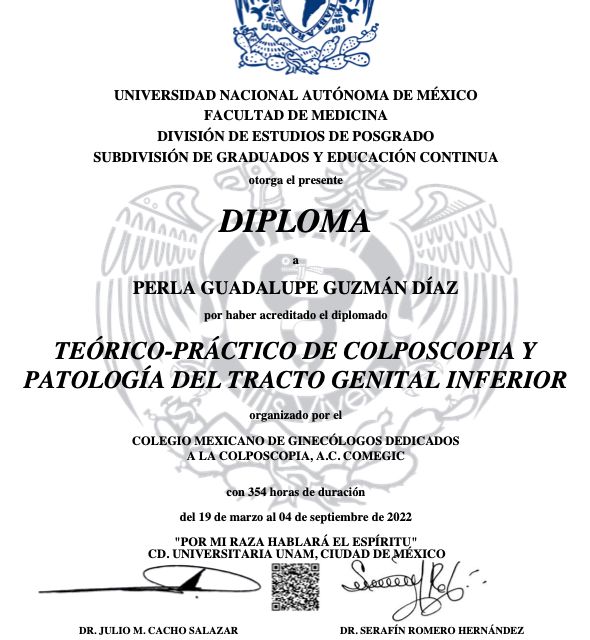 Ampliar imagen: certificate 3