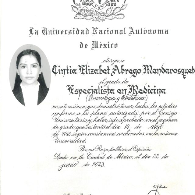 Ampliar imagen: certificate 1