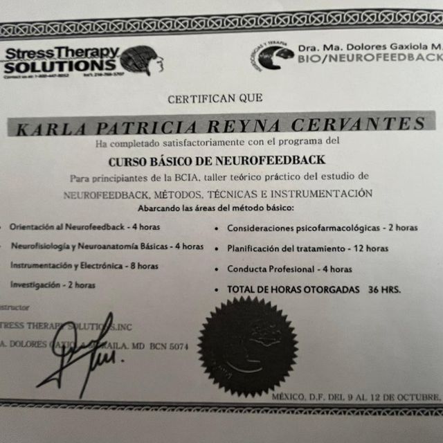 Ampliar imagen: certificate 4