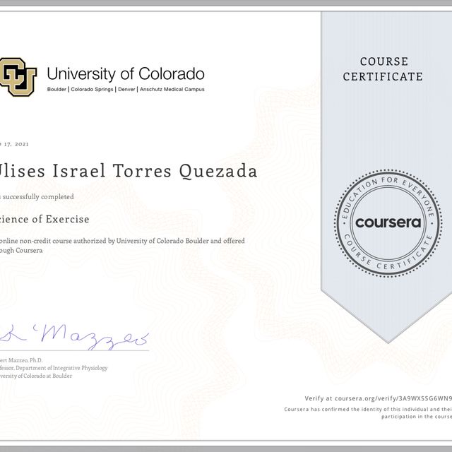 Ampliar imagen: certificate 4