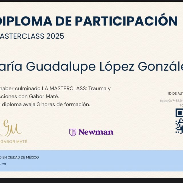 Ampliar imagen: certificate 1