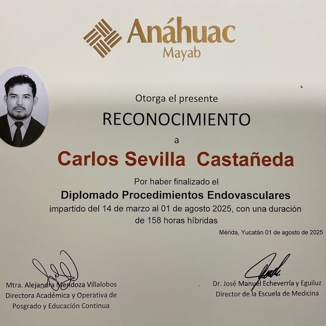 Ampliar imagen: certificate 3