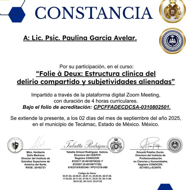 Ampliar imagen: certificate 1