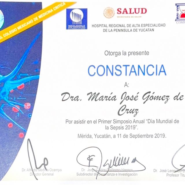 Ampliar imagen: certificate 4