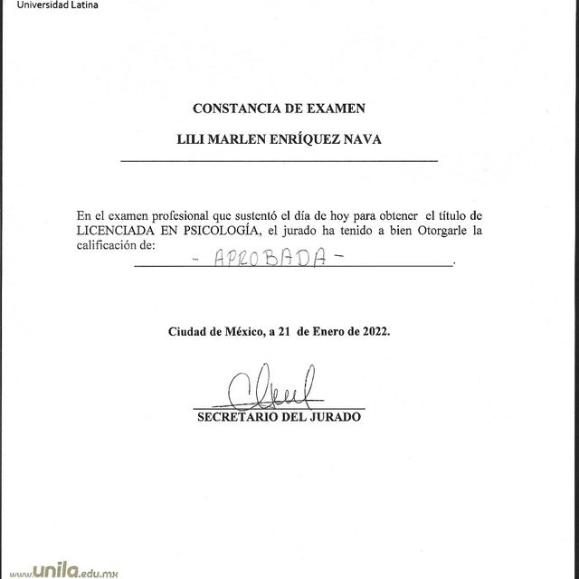Ampliar imagen: certificate 13